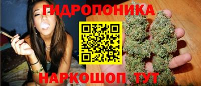 a pvp Гусь-Хрустальный