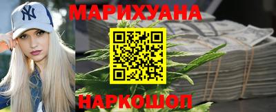 гидропоника Гусев