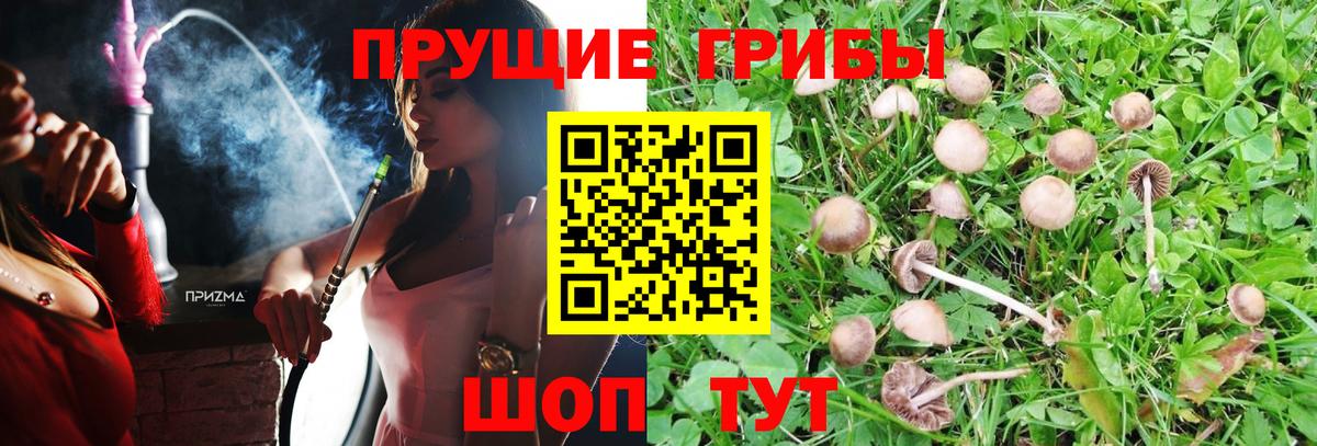 Псилоцибиновые грибы ЛСД Дагестанские Огни