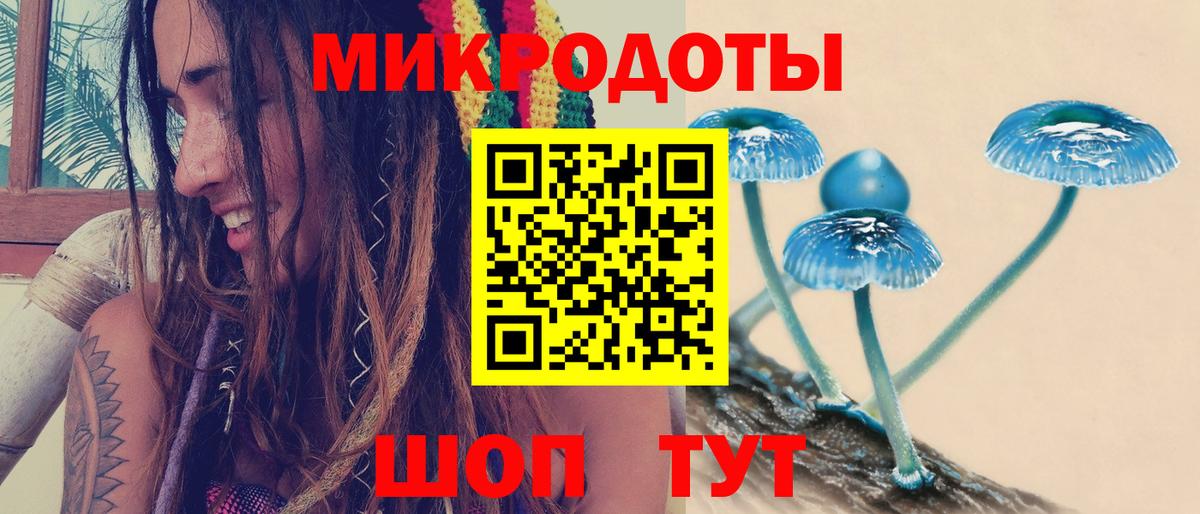 Дагестанские Огни  Галлюциногенные грибы мицелий  Псилоцибиновые грибы Psilocybe  Вход с VPN 